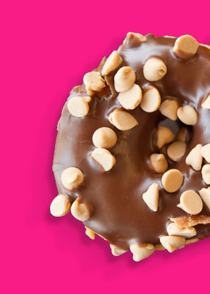 ROSETTA S SECRET MESSAGE FOR PRINCESS DONUT intelligence overview